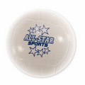 Volleyball Plastic Sport Ball (3 3/4")